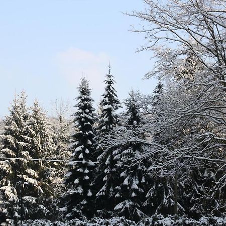 Hotel Wiedfriede Rossbach  Экстерьер фото