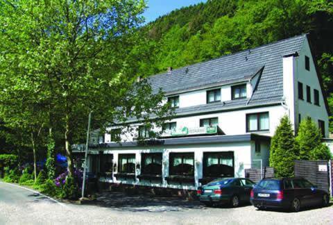 Hotel Wiedfriede Rossbach  Экстерьер фото