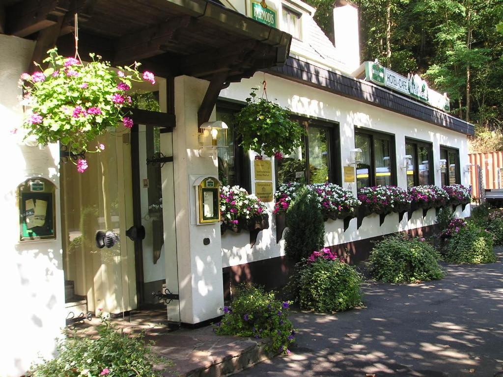 Hotel Wiedfriede Rossbach  Экстерьер фото