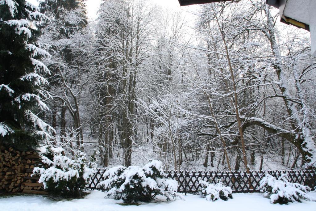 Hotel Wiedfriede Rossbach  Экстерьер фото
